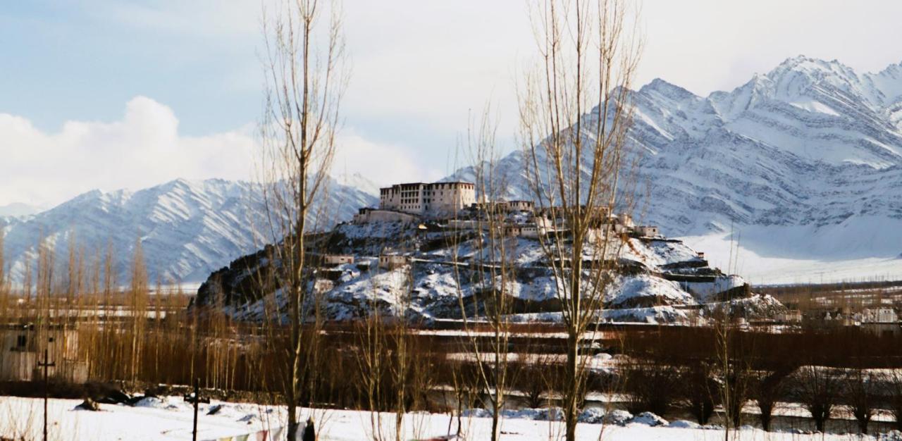 ホテル Dakpa House Ladakh Ranbirpura エクステリア 写真